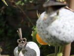 Steinvogel-Gartenstecker aus Edelstahl